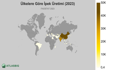 Ülkelere Göre İpek Üretimi (2023) Thumbnail