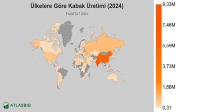 Ülkelere Göre Kabak Üretimi (2024) Thumbnail