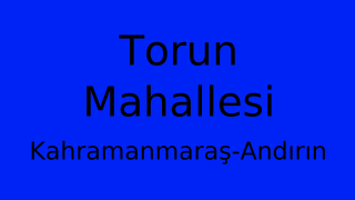 Torun Mahallesi Thumbnail