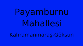 Payamburnu Mahallesi Thumbnail