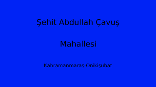 Şehit Abdullah Çavuş Mahallesi Thumbnail