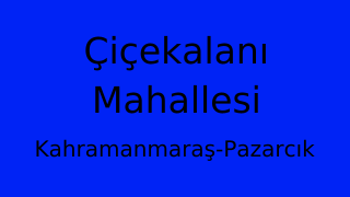 Çiçekalanı Mahallesi Thumbnail