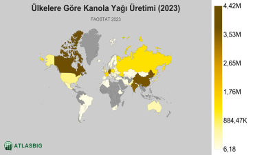 Ülkelere Göre Kanola Yağı Üretimi (2023) Thumbnail