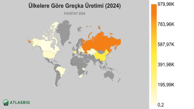 Ülkelere Göre Greçka Üretimi (2024) Thumbnail