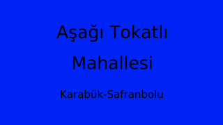 Aşağı Tokatlı Mahallesi Thumbnail