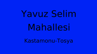 Yavuz Selim Mahallesi Thumbnail