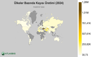 Ülkeler Bazında Kayısı Üretimi (2024) Thumbnail