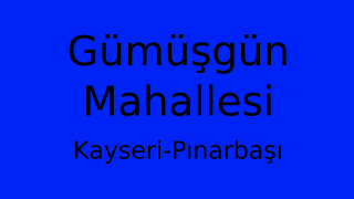 Gümüşgün Mahallesi Thumbnail