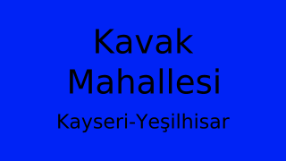 Kavak Mahallesi Thumbnail