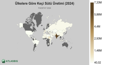 Ülkelere Göre Keçi Sütü Üretimi (2024) Thumbnail