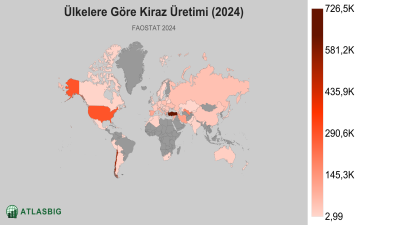 Ülkelere Göre Kiraz Üretimi (2024) Thumbnail