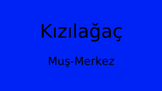 Kızılağaç, Merkez, Muş Thumbnail