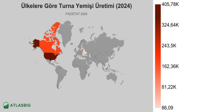 Ülkelere Göre Turna Yemişi Üretimi (2024) Thumbnail