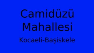 Camidüzü Mahallesi Thumbnail