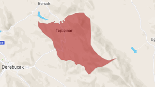 Taşlıpınar Mahallesi Harita Thumbnail
