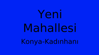 Yeni Mahallesi Thumbnail