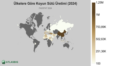Ülkelere Göre Koyun Sütü Üretimi (2024) Thumbnail