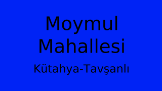 Moymul Mahallesi Thumbnail