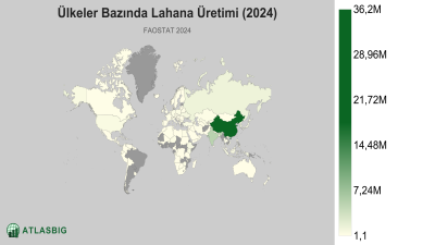 Ülkeler Bazında Lahana Üretimi (2024) Thumbnail