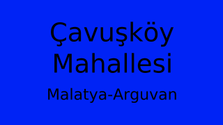 Çavuşköy Mahallesi Thumbnail