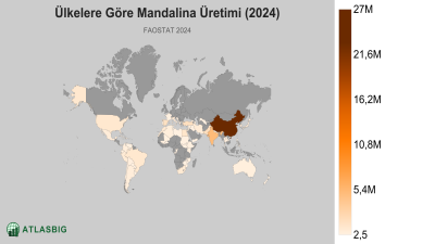 Ülkelere Göre Mandalina Üretimi 2026 Thumbnail