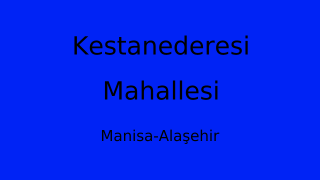 Kestanederesi Mahallesi Thumbnail