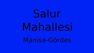 Salur Mahallesi Thumbnail