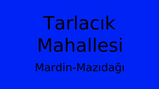 Tarlacık Mahallesi Thumbnail