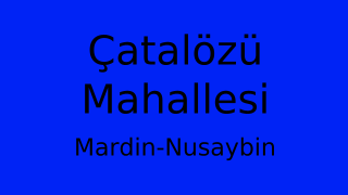Çatalözü Mahallesi Thumbnail