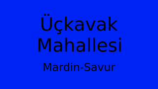 Üçkavak Mahallesi Thumbnail