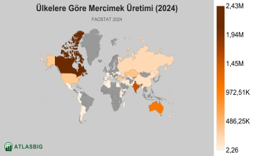 Ülkelere Göre Mercimek Üretimi 2026 Thumbnail
