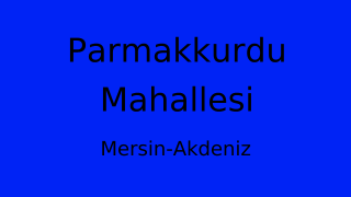Parmakkurdu Mahallesi Thumbnail