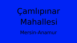 Çamlıpınar Mahallesi Thumbnail