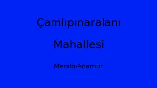 Çamlıpınaralanı Mahallesi Thumbnail