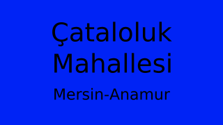 Çataloluk Mahallesi Thumbnail