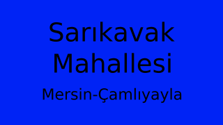Sarıkavak Mahallesi Thumbnail