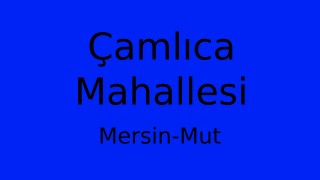 Çamlıca Mahallesi Thumbnail