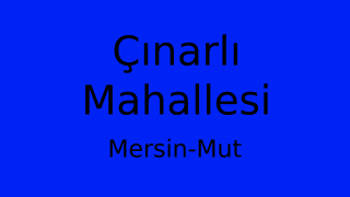 Çınarlı Mahallesi Thumbnail