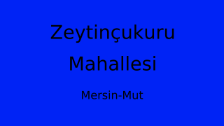 Zeytinçukuru Mahallesi Thumbnail