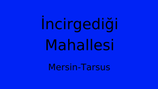 İncirgediği Mahallesi Thumbnail