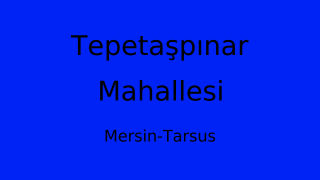Tepetaşpınar Mahallesi Thumbnail
