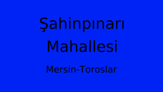 Şahinpınarı Mahallesi Thumbnail