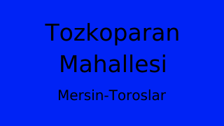 Tozkoparan Mahallesi Thumbnail