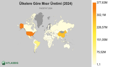 Ülkelere Göre Mısır Üretimi (2024) Thumbnail
