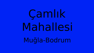 Çamlık Mahallesi Thumbnail