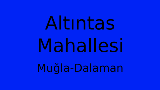Altıntas Mahallesi Thumbnail