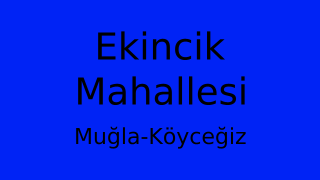 Ekincik Mahallesi Thumbnail
