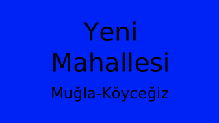 Yeni Mahallesi Thumbnail