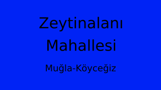 Zeytinalanı Mahallesi Thumbnail