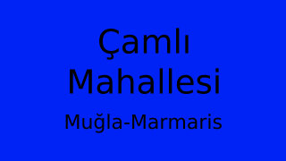 Çamlı Mahallesi Thumbnail